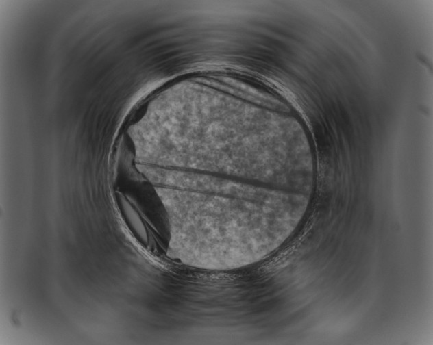 X0000094801045200712141648