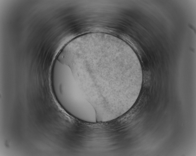 X0000094801048200712141648