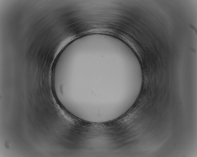 X0000094801050200712141648