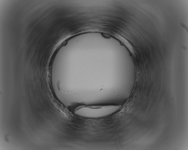 X0000094801051200712141648