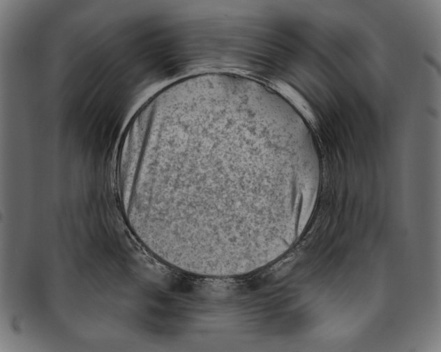 X0000094801052200712141648