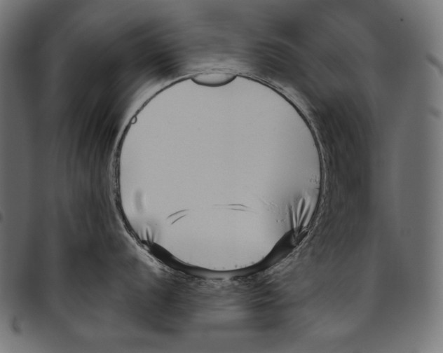 X0000094801056200712141648