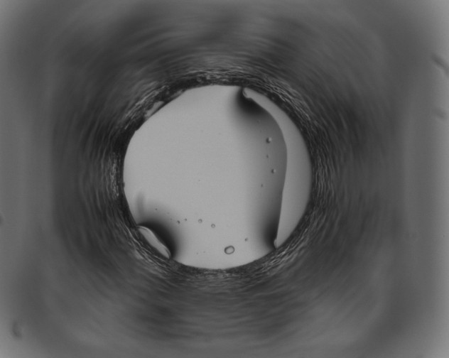 X0000094801060200712141647