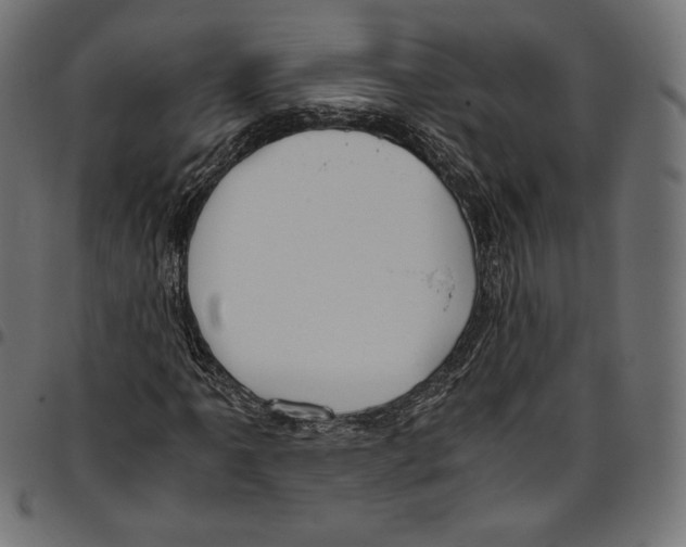X0000094801061200712141647