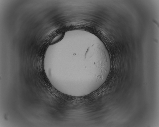 X0000094801062200712141647