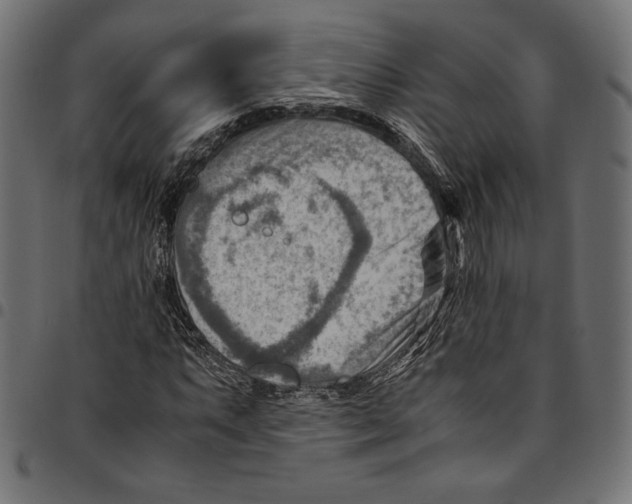 X0000094801063200712141647