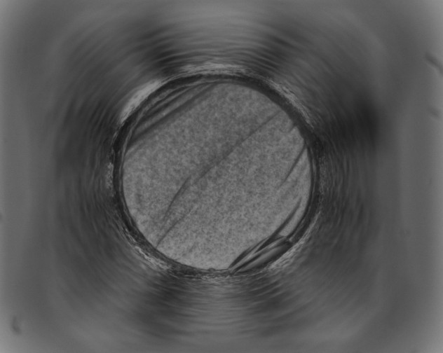 X0000094801066200712141647