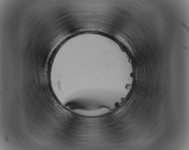 X0000094801068200712141647
