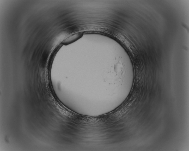 X0000094801072200712141647