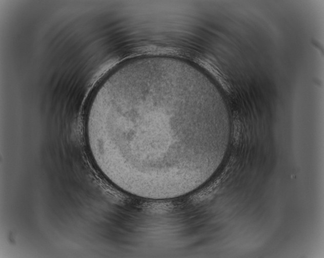 X0000094801074200712141647
