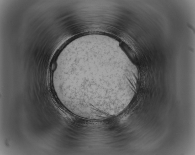 X0000094801076200712141647