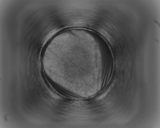 X0000094801077200712141647