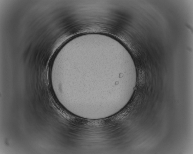 X0000094801078200712141647