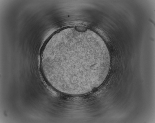 X0000094801079200712141647