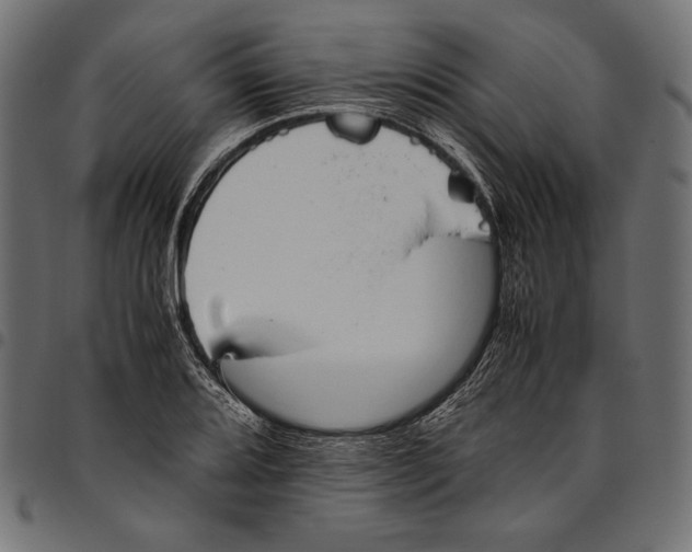 X0000094801080200712141647
