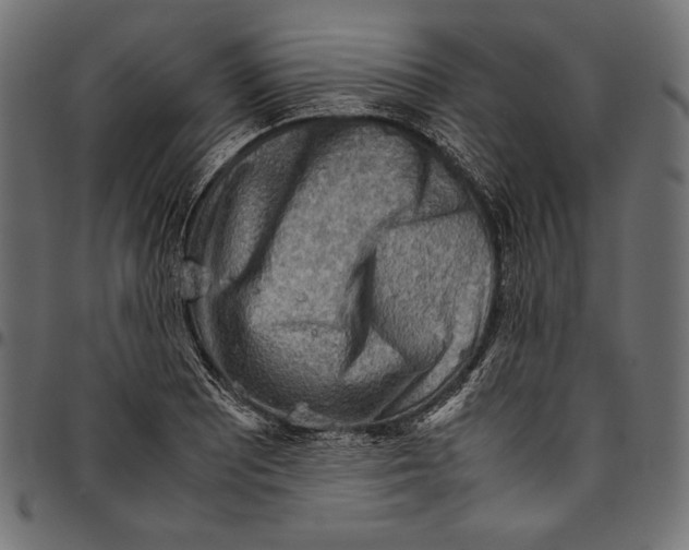X0000094801081200712141647