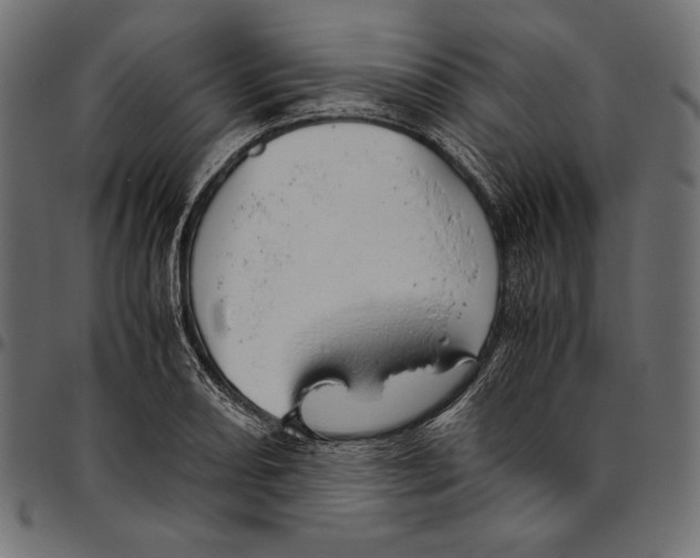 X0000094801082200712141647