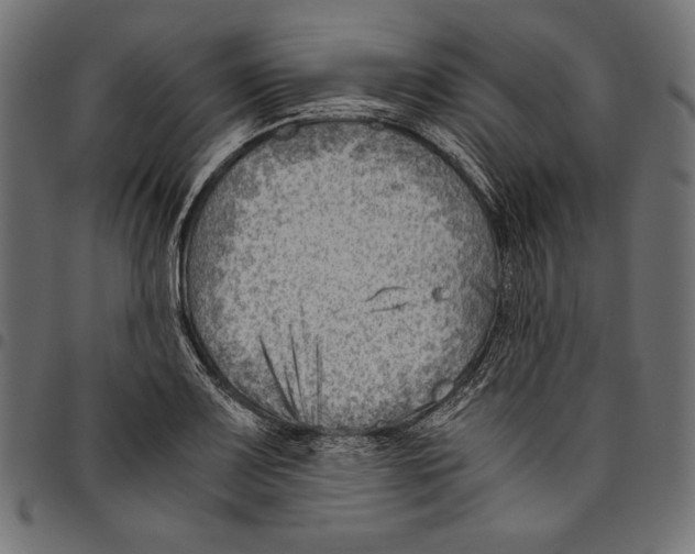 X0000094801083200712141647