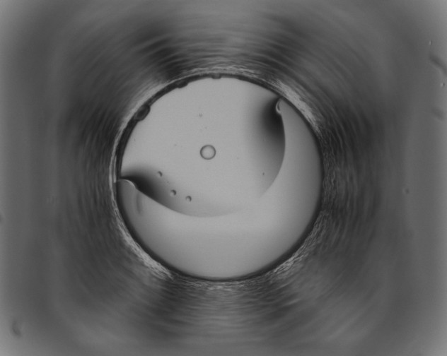 X0000094801084200712141647