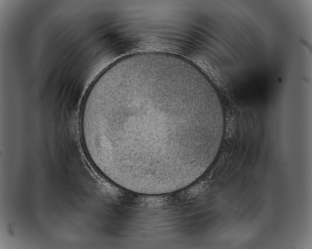 X0000094801086200712141647