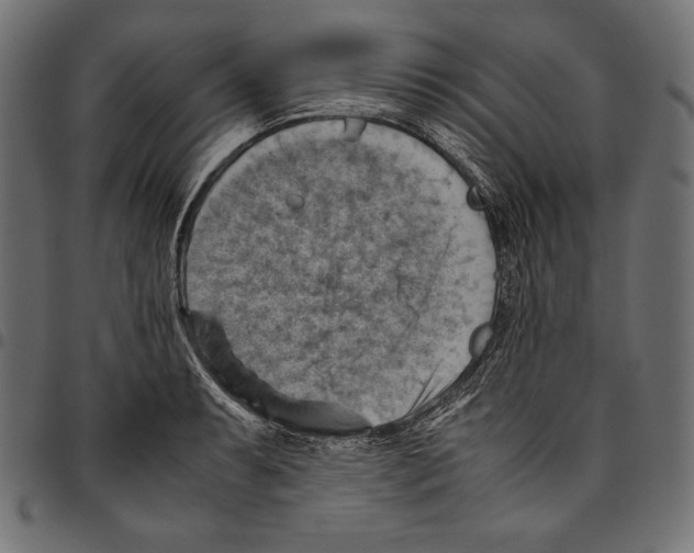 X0000094801087200712141647