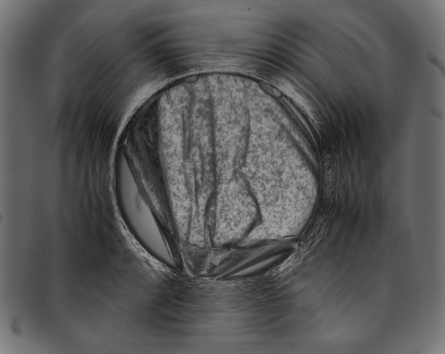 X0000094801088200712141647