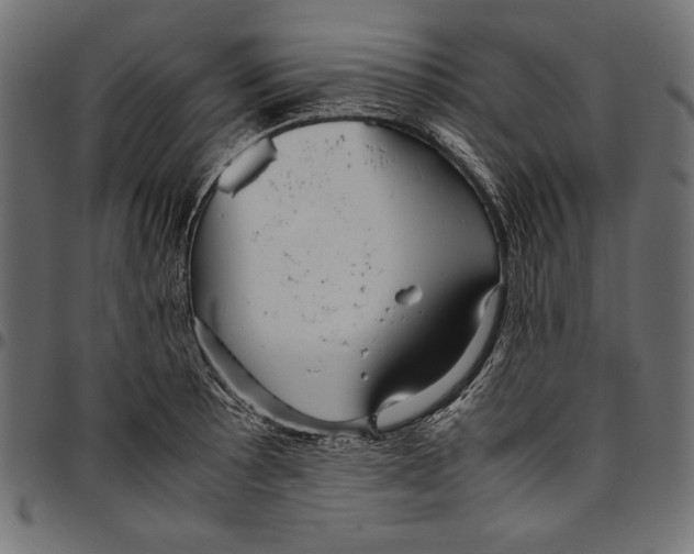 X0000094801089200712141647