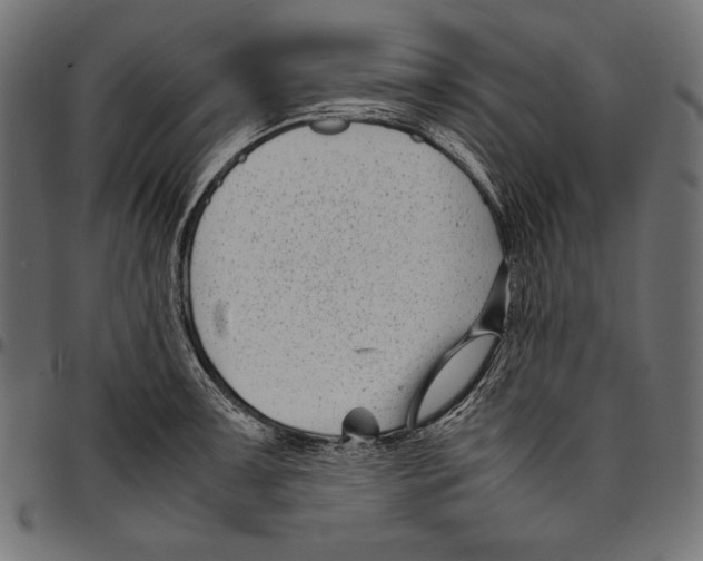 X0000094801091200712141647