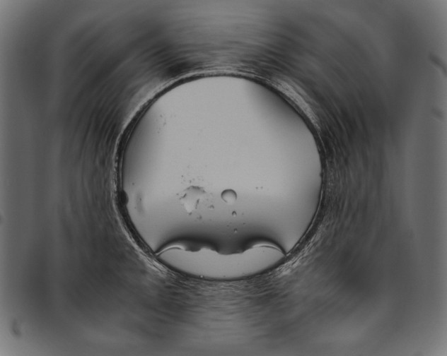X0000094801093200712141647