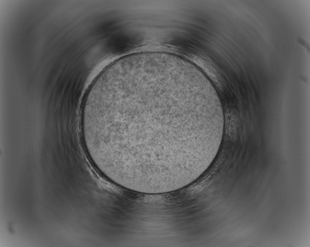 X0000094801094200712141647