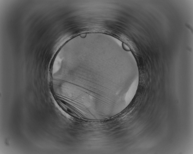 X0000094801095200712141647