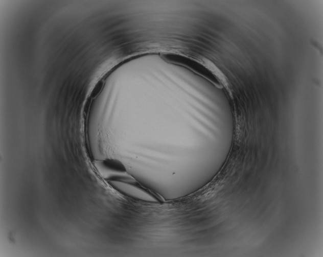 X0000094801096200712141647