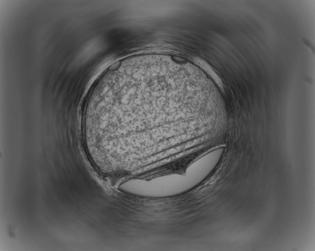 X0000094801099200712141647
