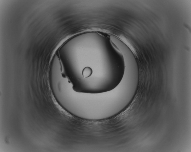 X0000094801100200712141647
