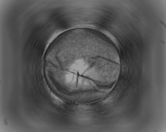 X0000094801102200712141647