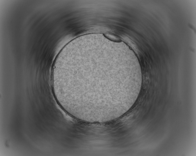 X0000094801103200712141647