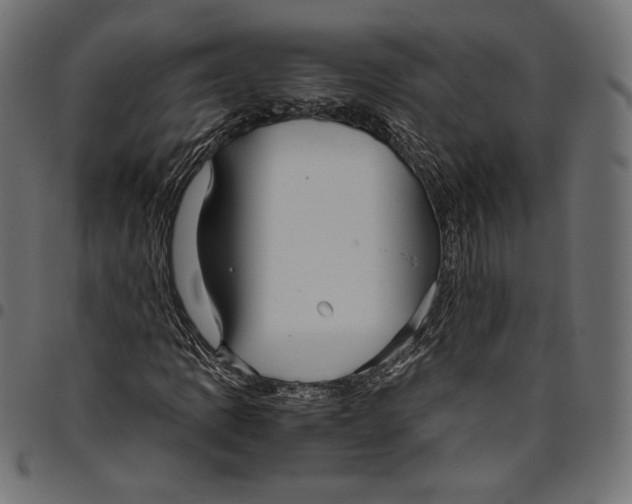 X0000094801109200712141646