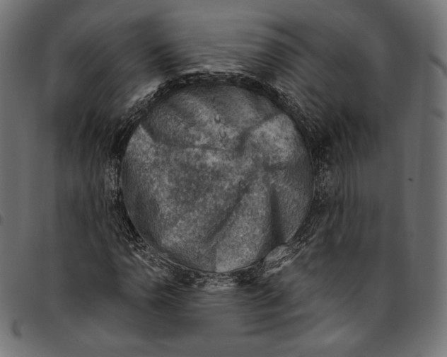 X0000094801110200712141646