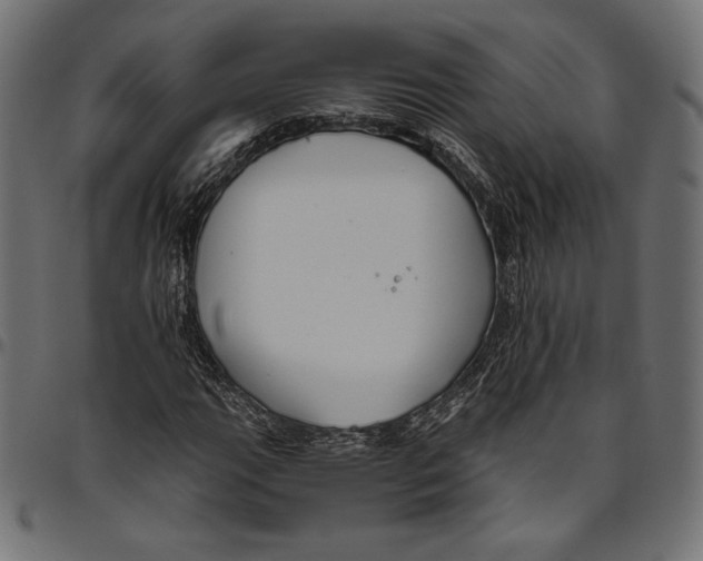 X0000094801111200712141646