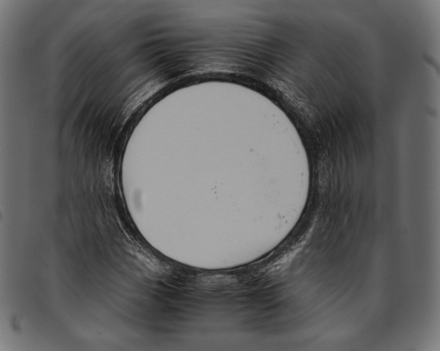 X0000094801113200712141646