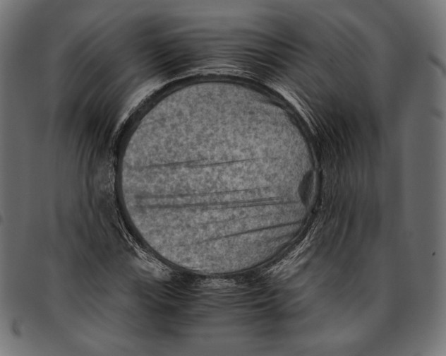 X0000094801115200712141646
