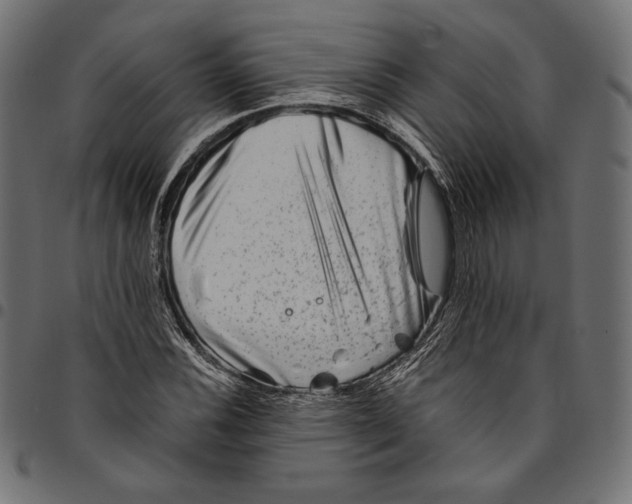 X0000094801116200712141646