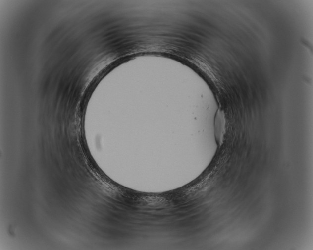 X0000094801119200712141646