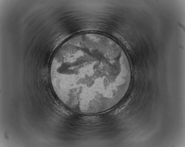 X0000094801121200712141646