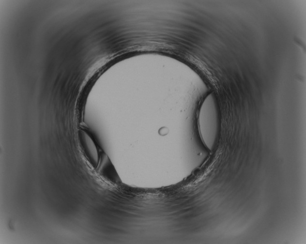 X0000094801122200712141646