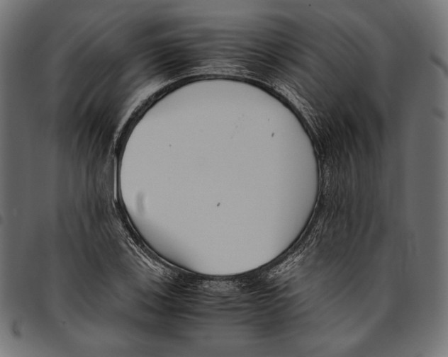 X0000094801123200712141646