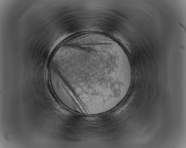 X0000094801125200712141646
