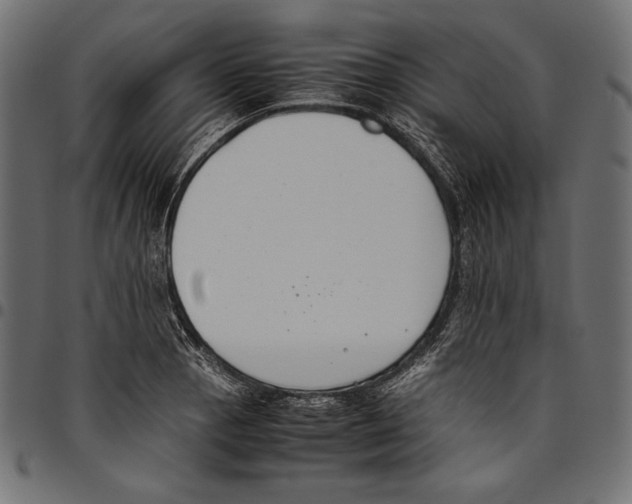 X0000094801129200712141646