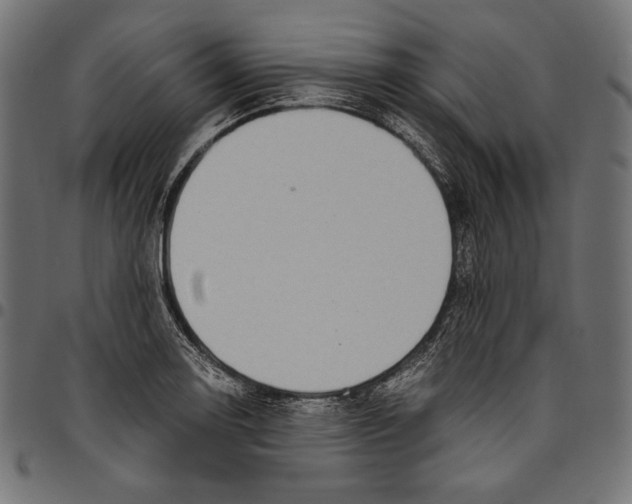 X0000094801130200712141646