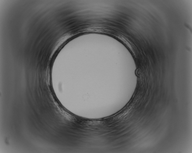 X0000094801131200712141646